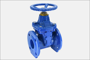 Resilient Seated Gate Valve | Sluice Valve / Gate Valves | Shriram ...