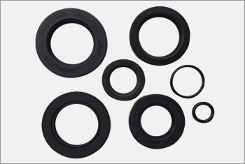 Oil Seals And O Rings Helicoil Shriram Industries Inc